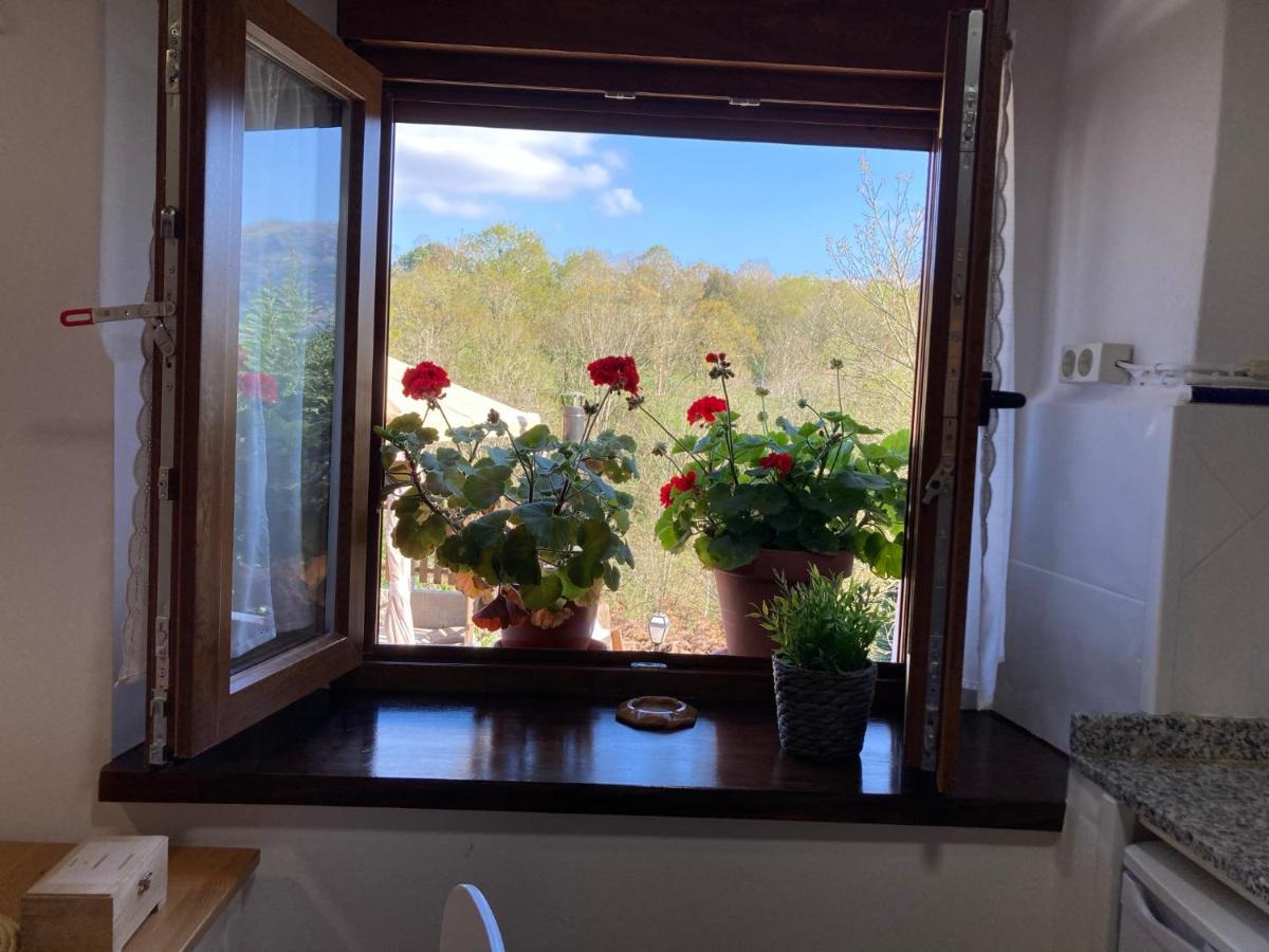 Casa Elena Cangas De Onis Con Wifi Y Parking Gratuito Exterior photo